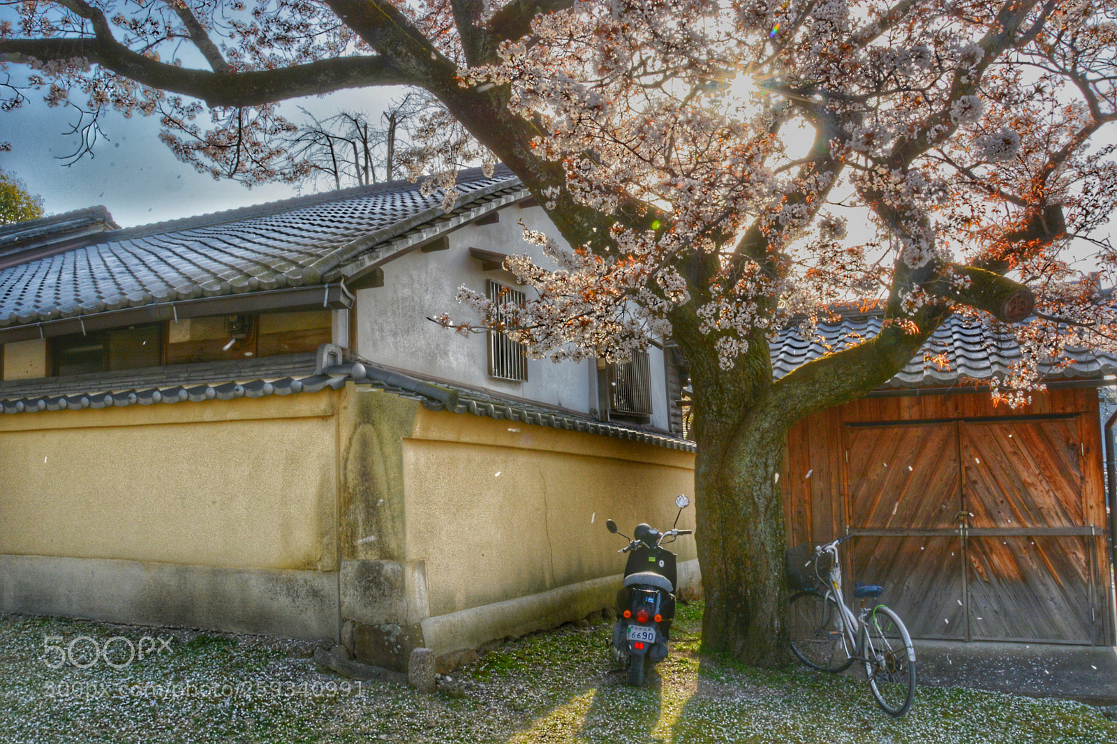 Nikon D7100 sample photo. Silent moment photography