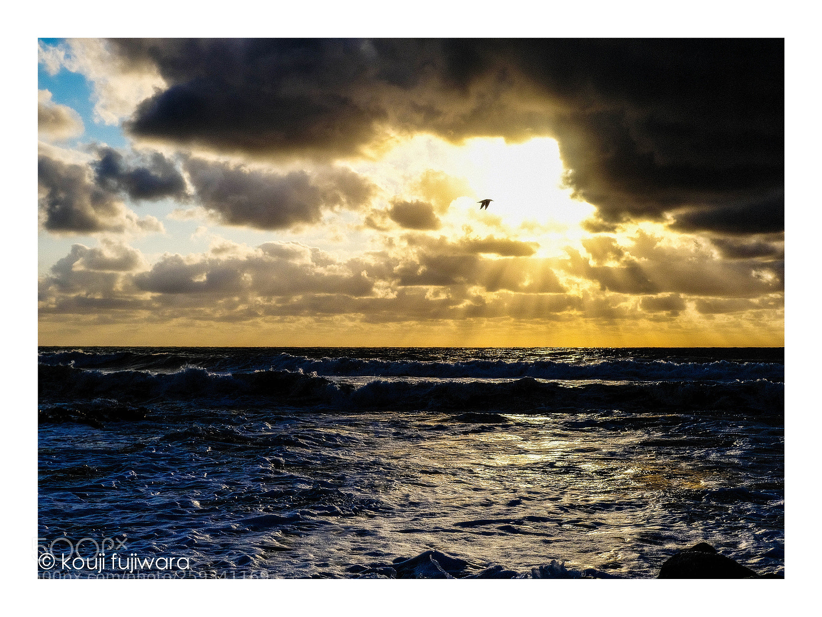 Fujifilm X-Pro2 sample photo. Return of crow photography