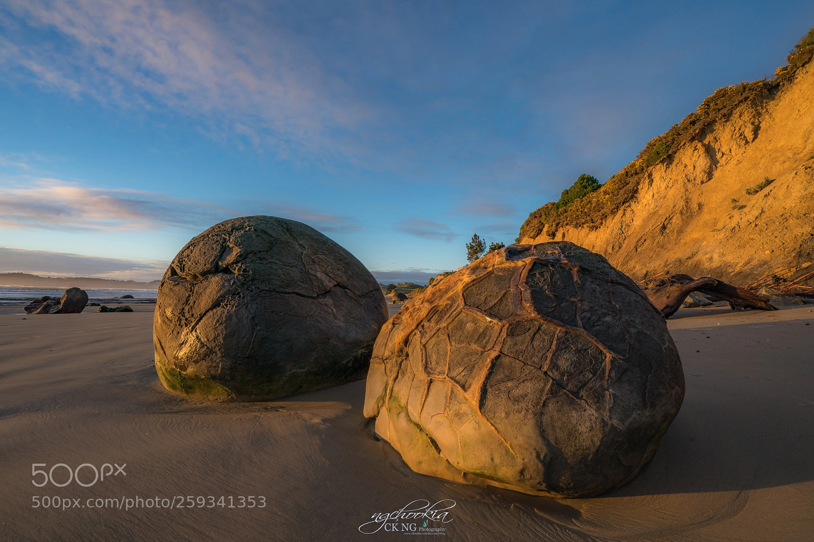 Sony a9 sample photo. Dinosaur egg ii moeraki photography