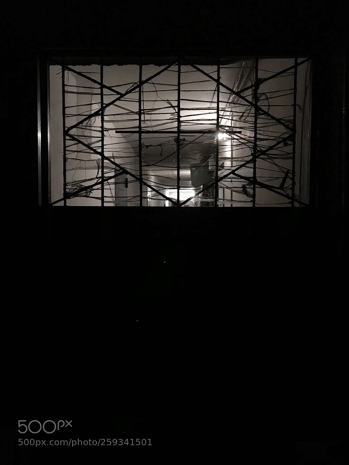 Apple iPhone 7 Plus sample photo. Untitled photography