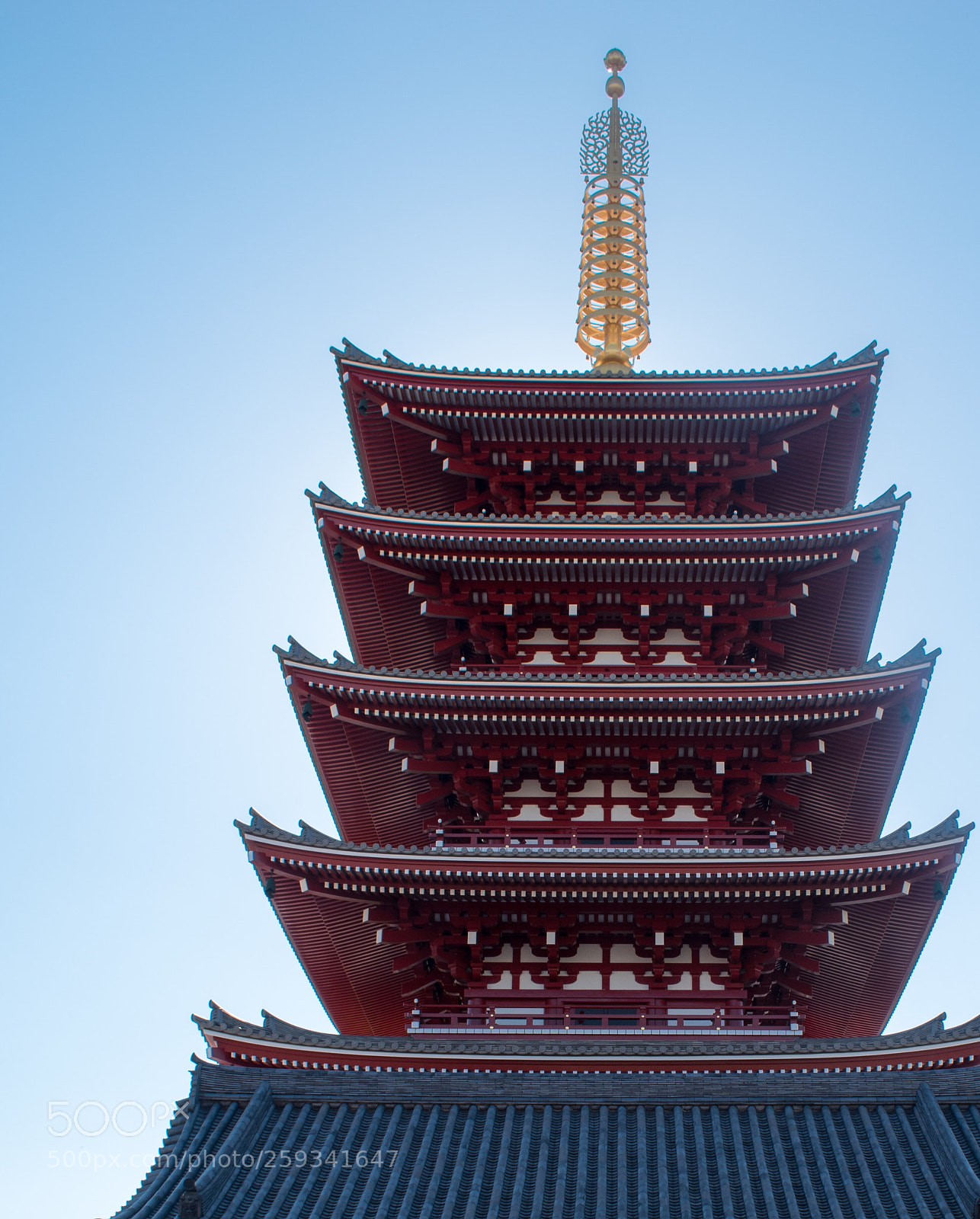 Nikon D5600 sample photo. Asakusa temple  photography