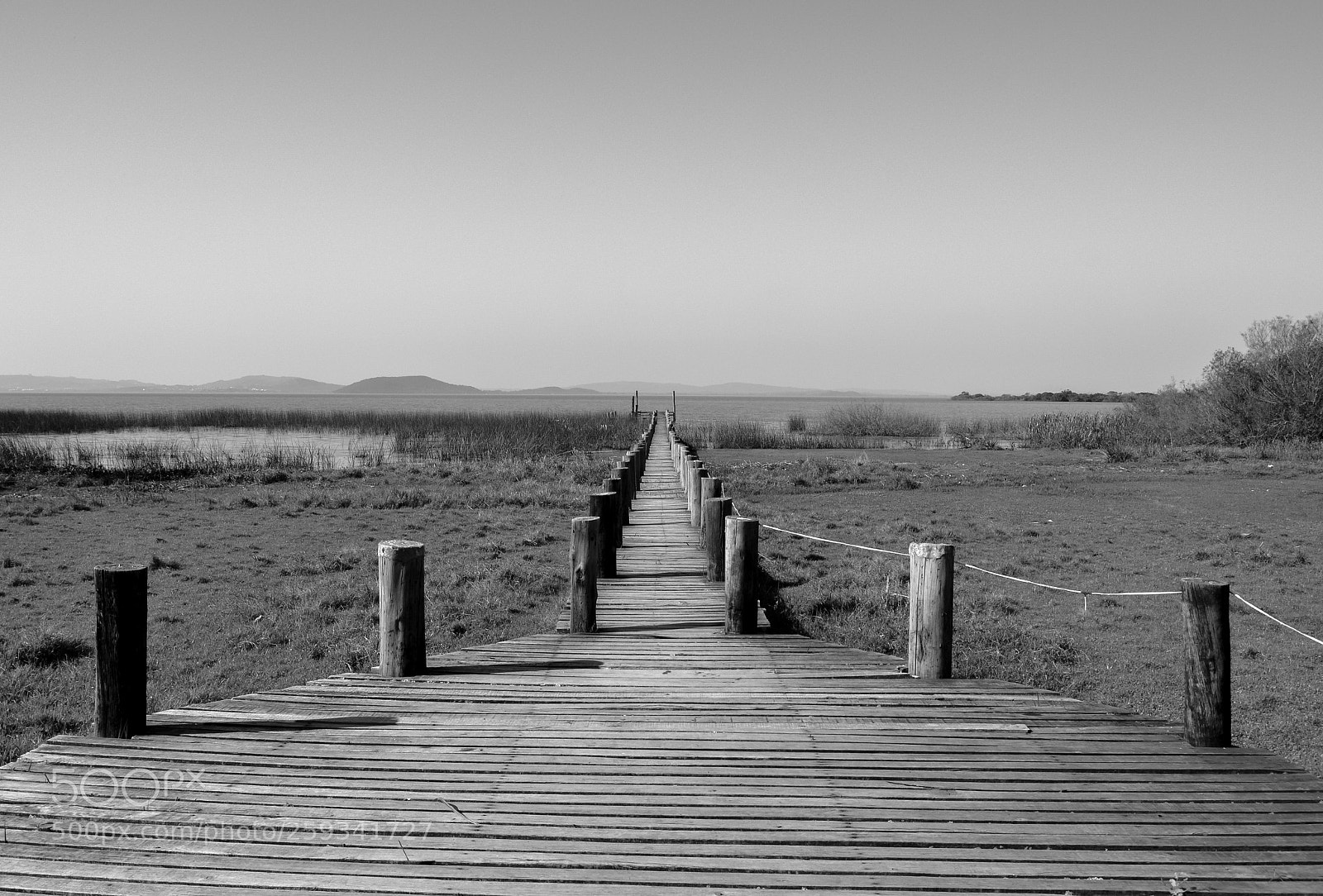Nikon D7100 sample photo. Starting point photography