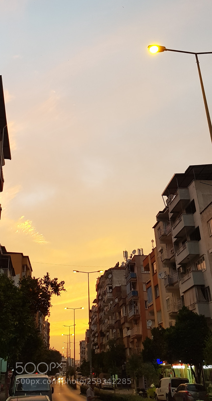 Samsung Galaxy S8 sample photo. Untitled photography