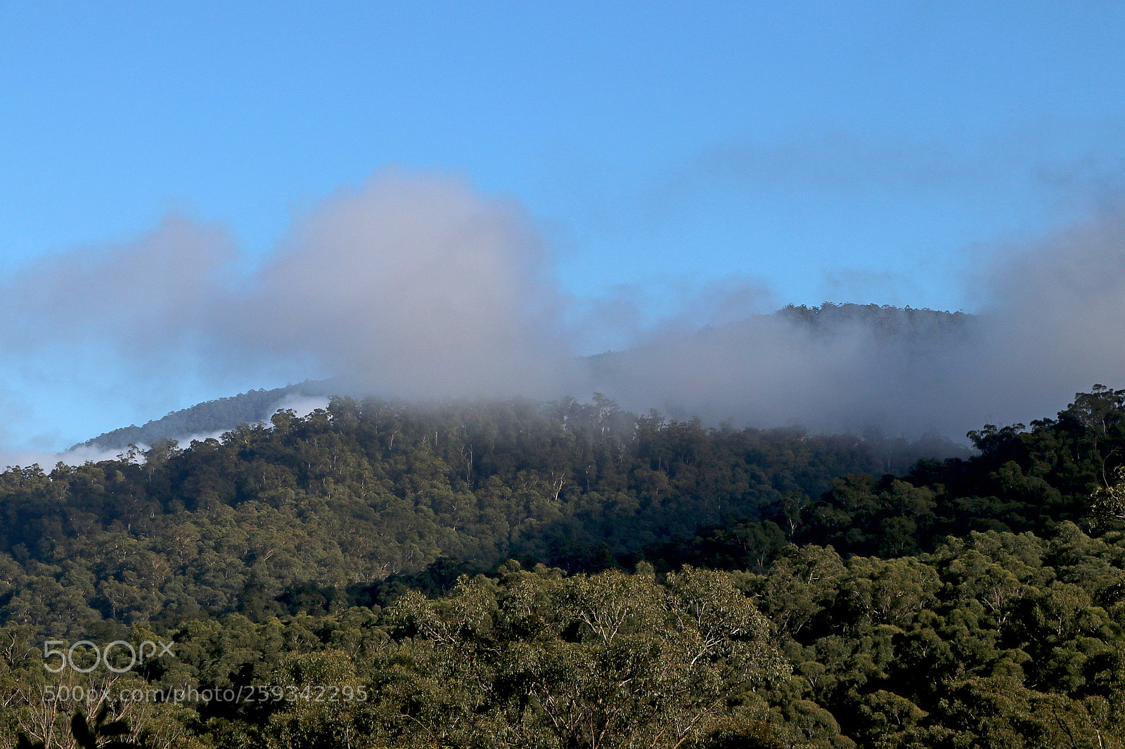 Canon EOS 80D sample photo. Misty mountains mcmahons creek photography