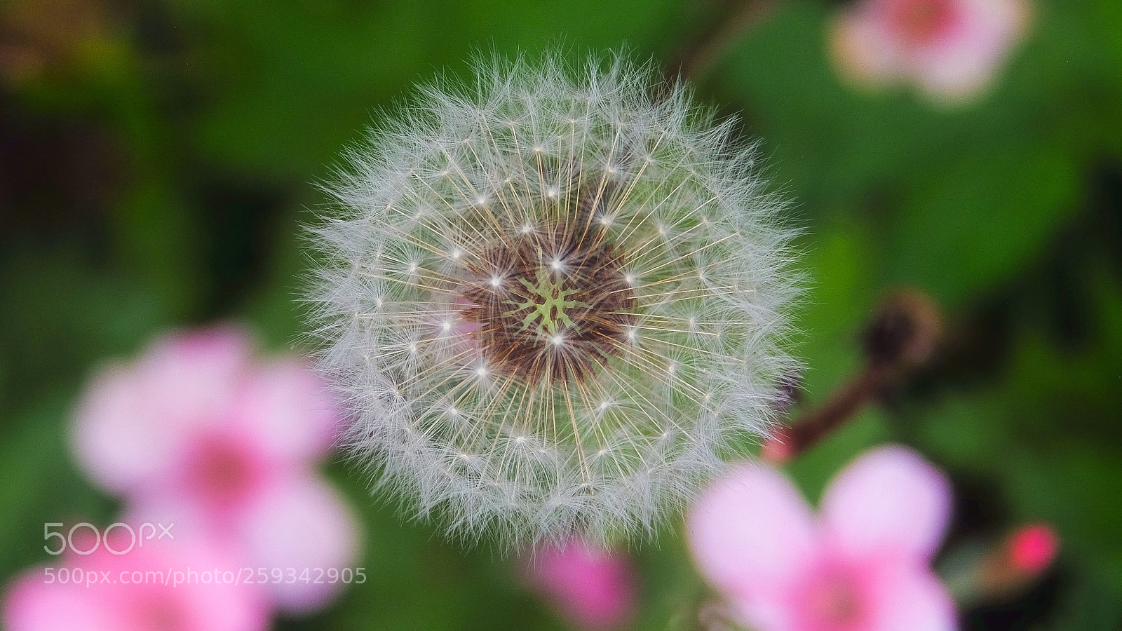 Fujifilm X-T1 sample photo. Ready to launch.... photography