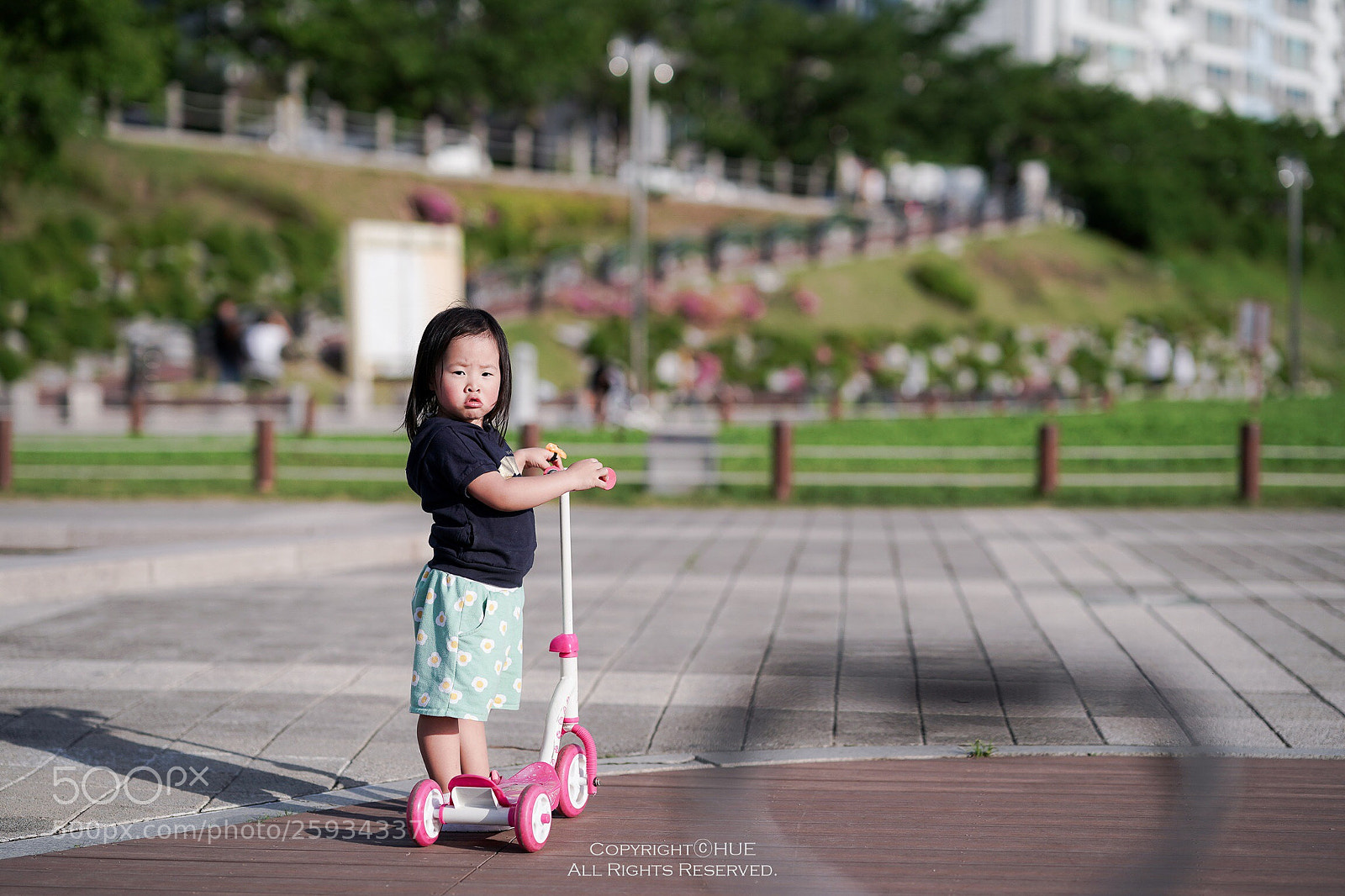 Sony a9 sample photo. Untitled photography