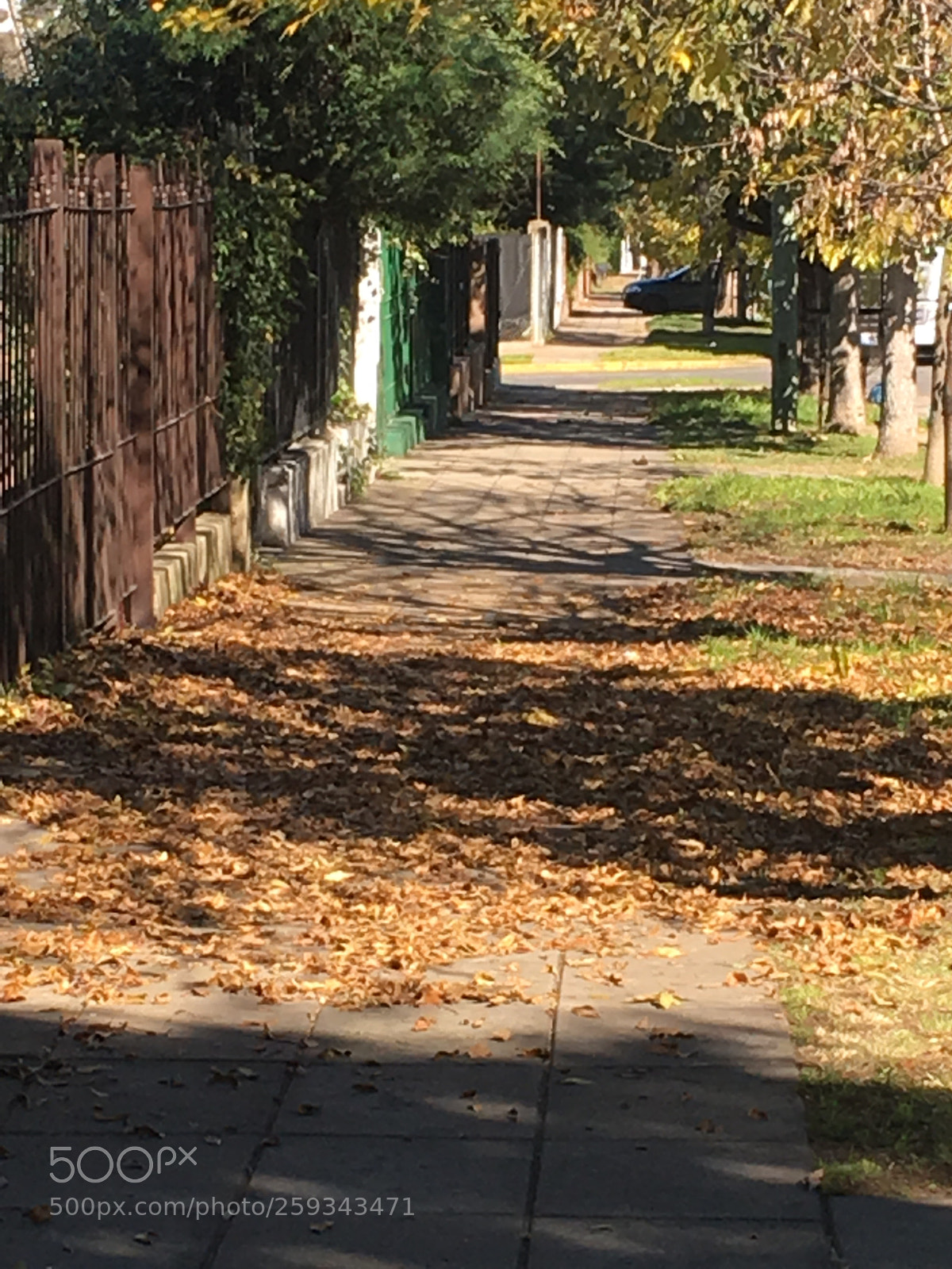 Apple iPhone 6s sample photo. Oto o en la photography