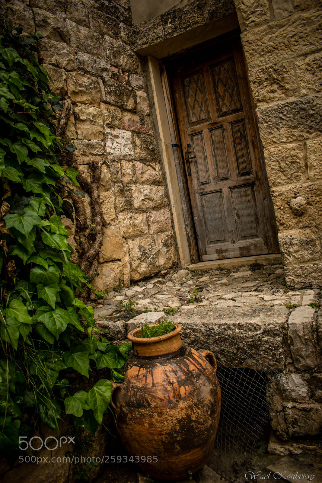 Nikon D5500 sample photo. The forgotten house photography