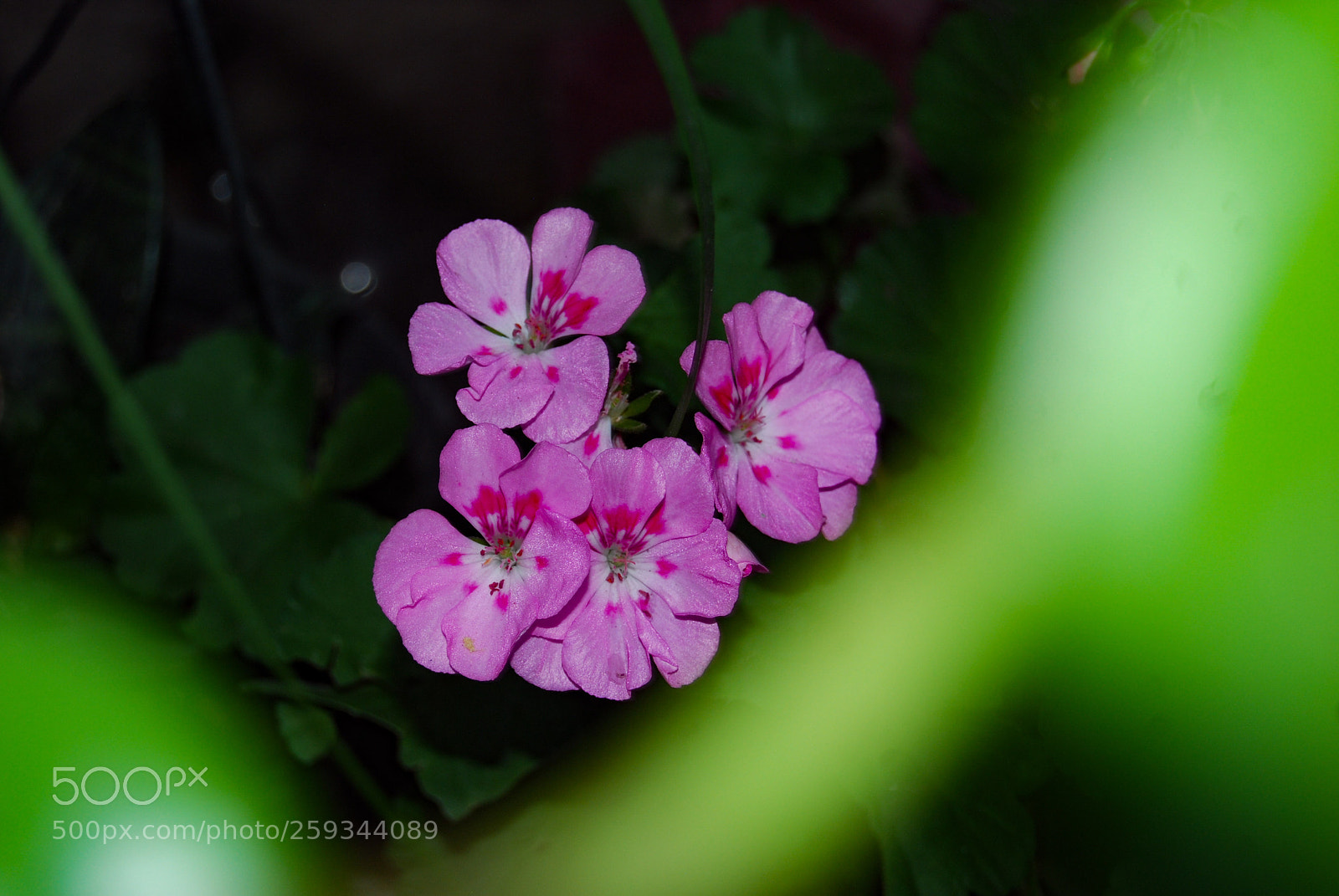 Nikon D40X sample photo. Power photography