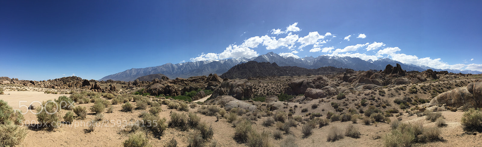 Apple iPhone 6 sample photo. Lone pine  photography