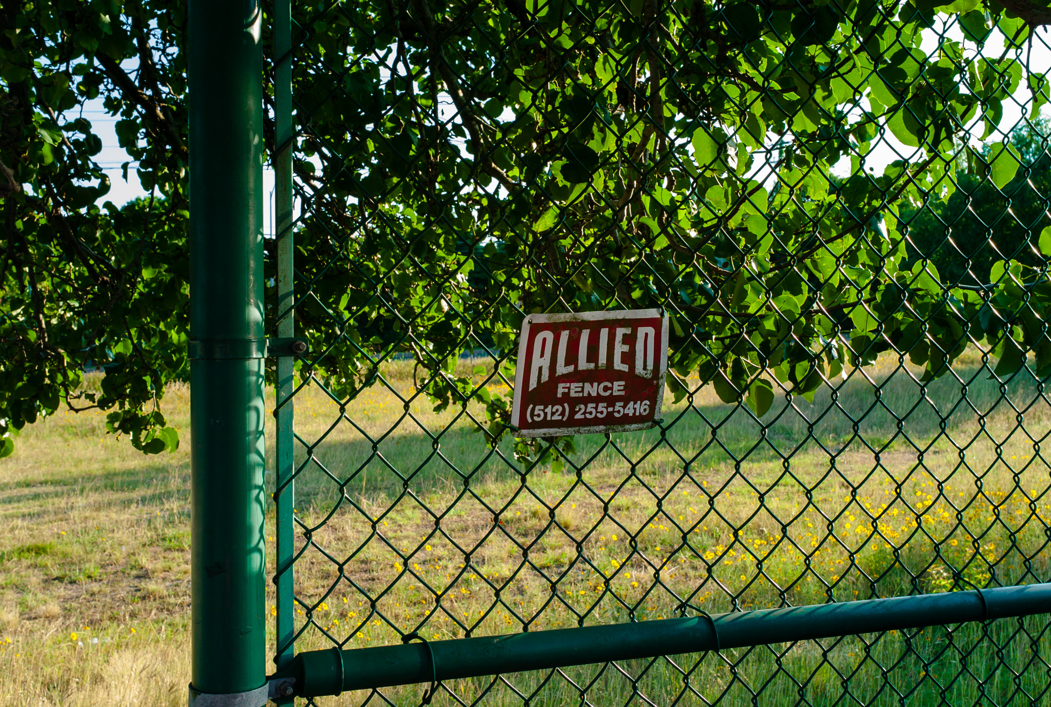 Leica M8 sample photo. Fence photography