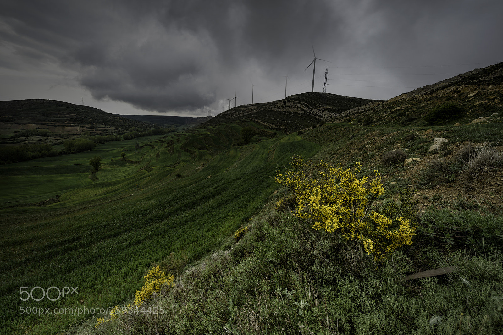 Nikon D750 sample photo. Valdeconejos, san just. photography