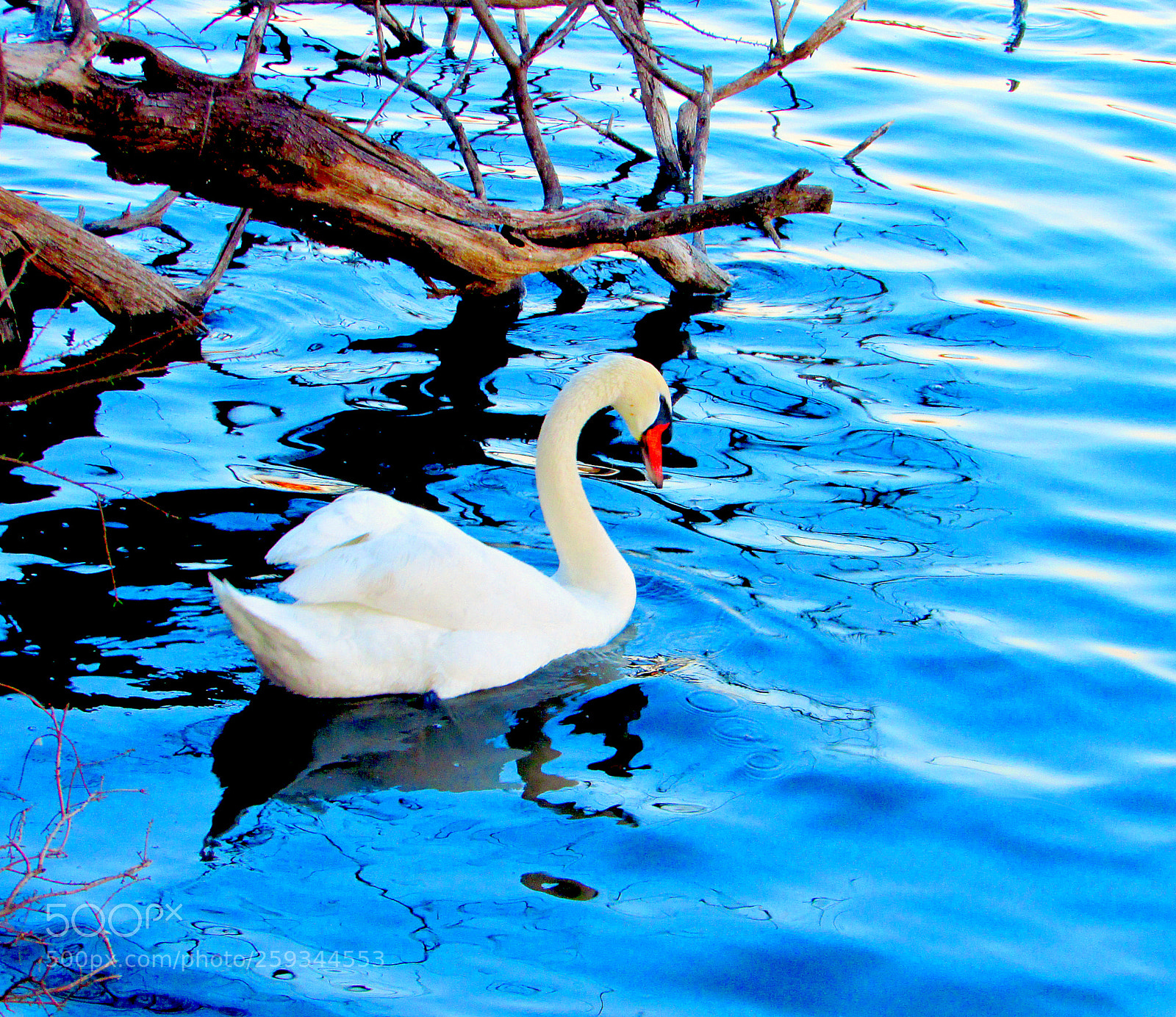 Canon PowerShot SX400 IS sample photo. Soft blue waves photography