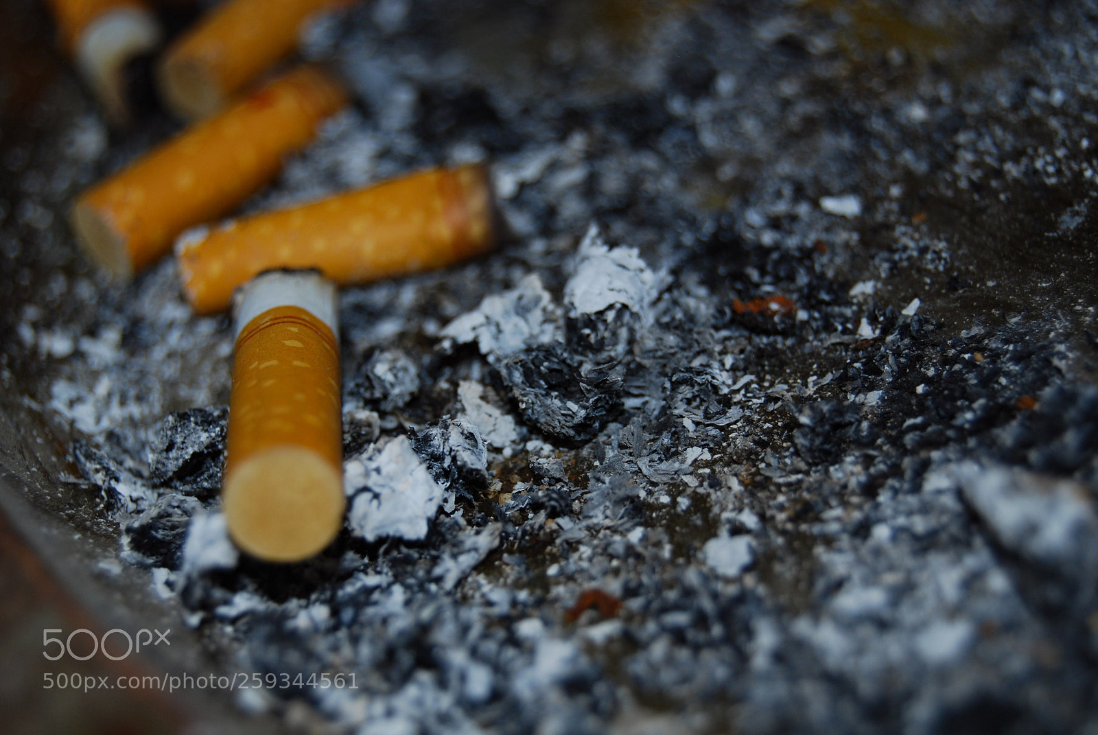 Nikon D40X sample photo. Caution photography
