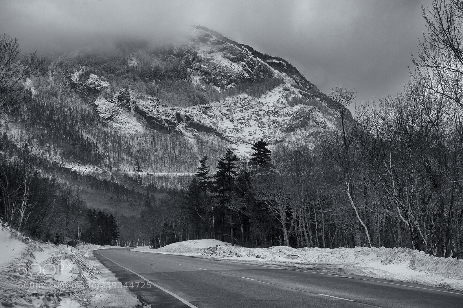 Nikon D700 sample photo. White mountain highway new photography