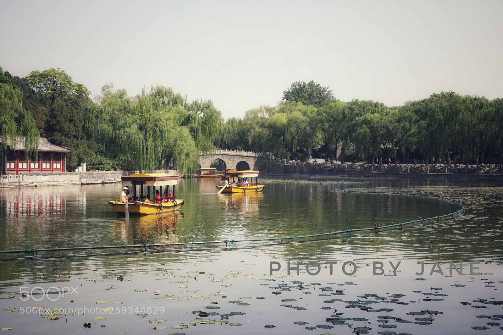 Canon EOS 5D Mark IV sample photo. Untitled photography
