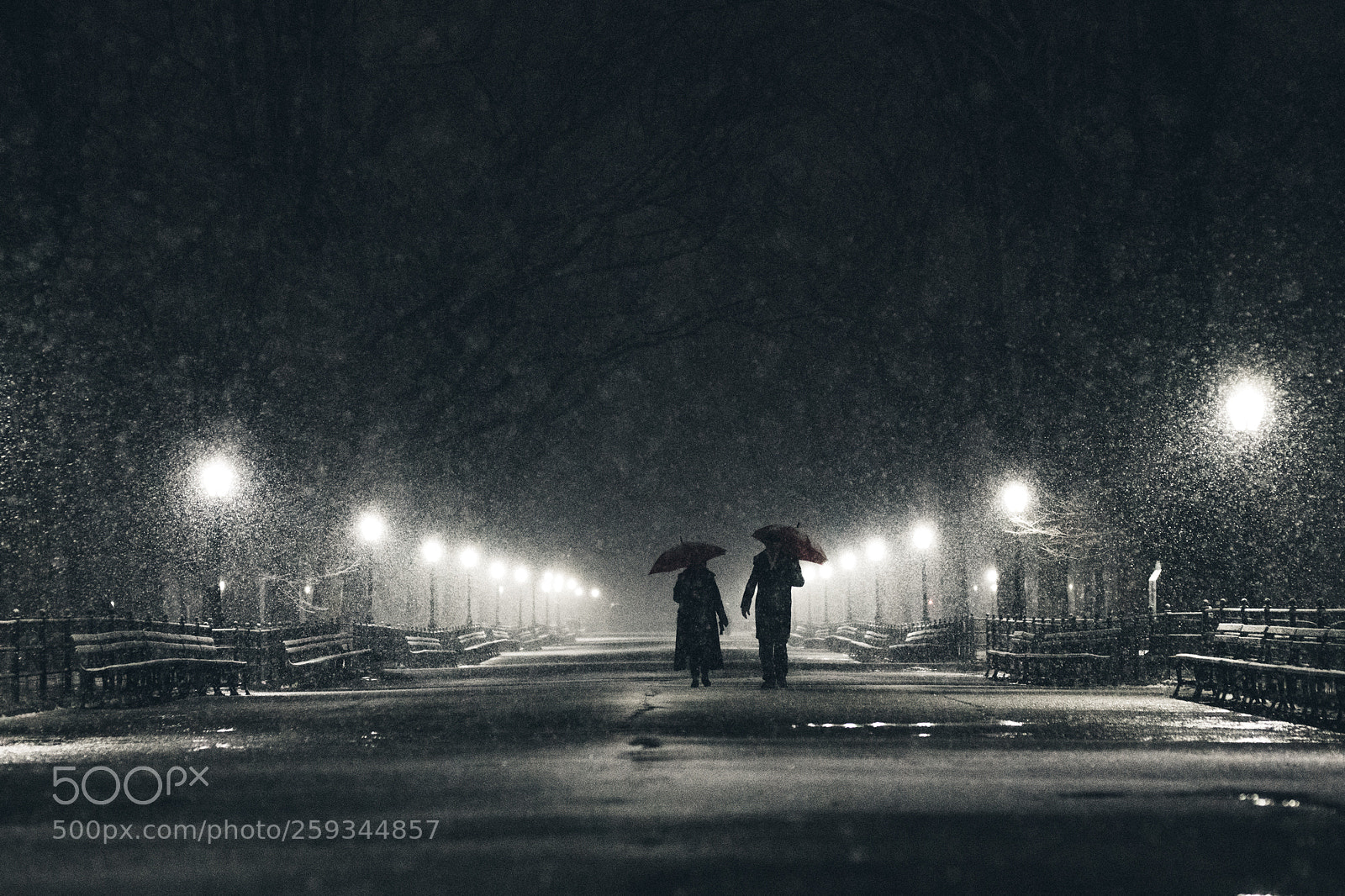 Sony a7R II sample photo. Winter in central park photography