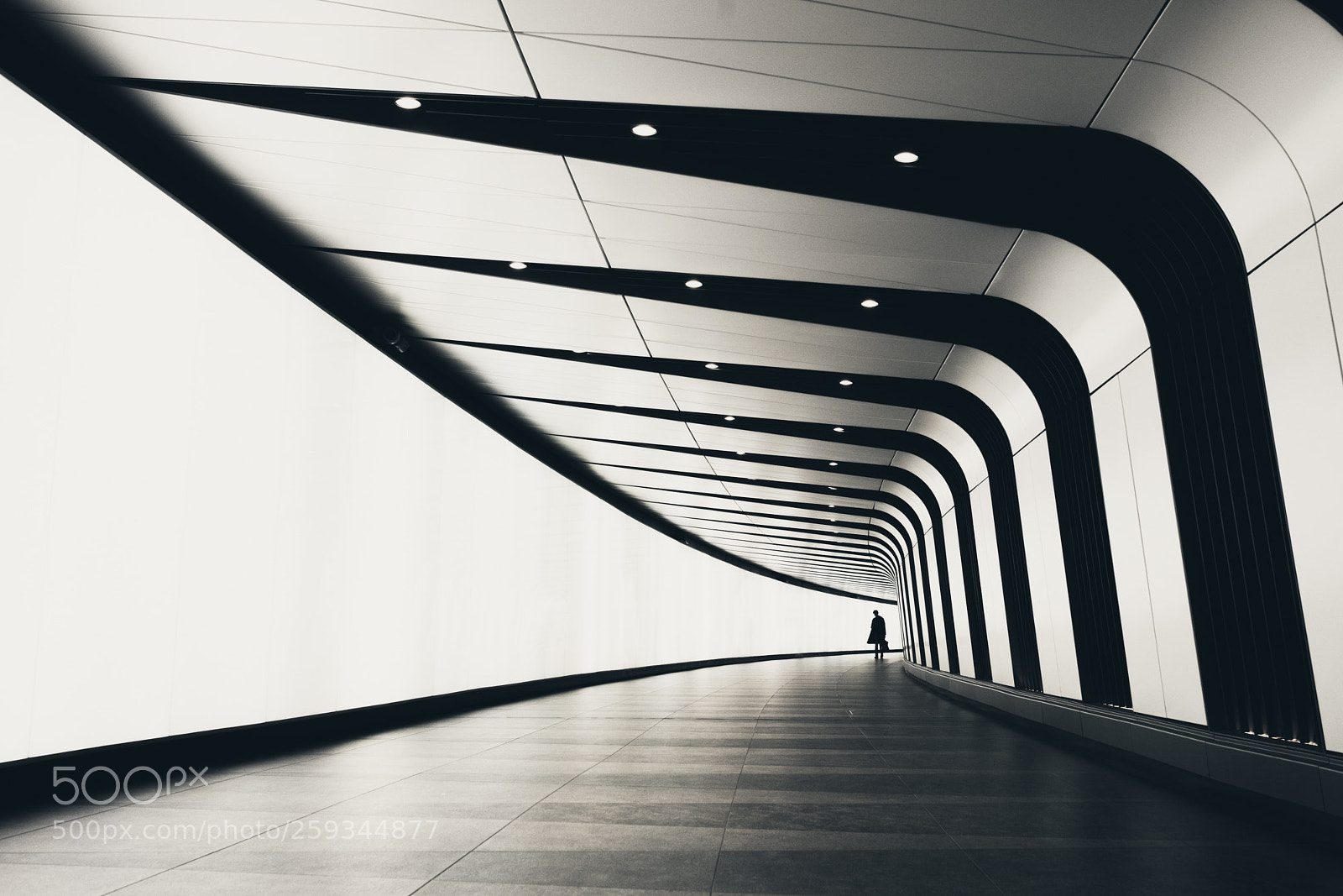 Sony a7R II sample photo. Lightbridge photography