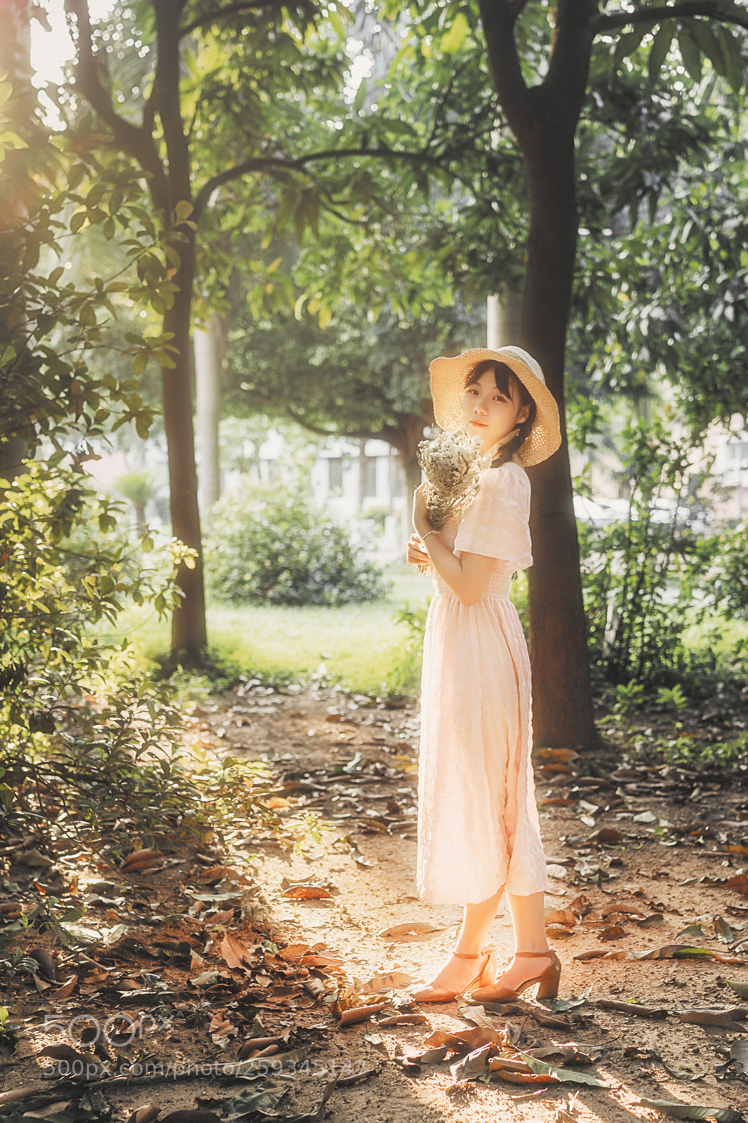Sony a7R III sample photo. Flower photography