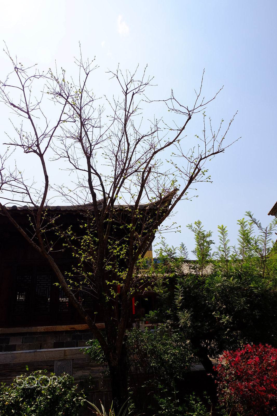 Fujifilm X-A1 sample photo. Img photography