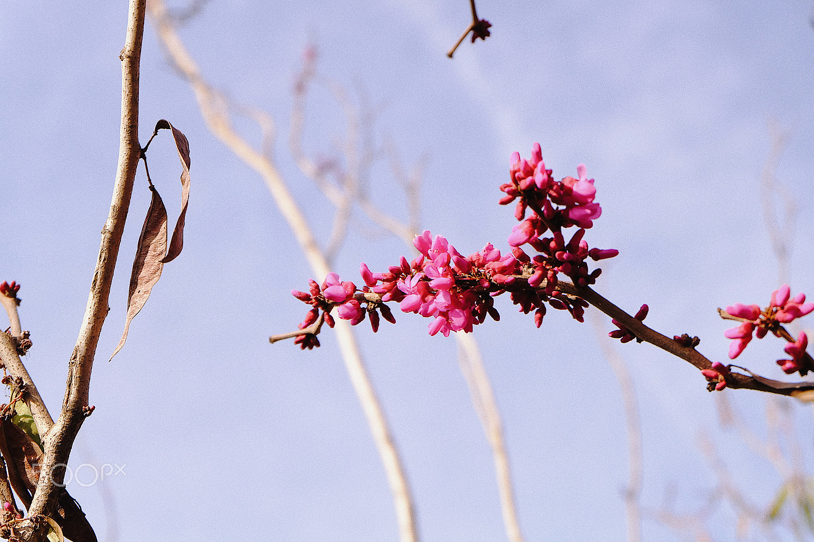 Fujifilm X-A1 sample photo. Processed with vsco with q5 preset photography