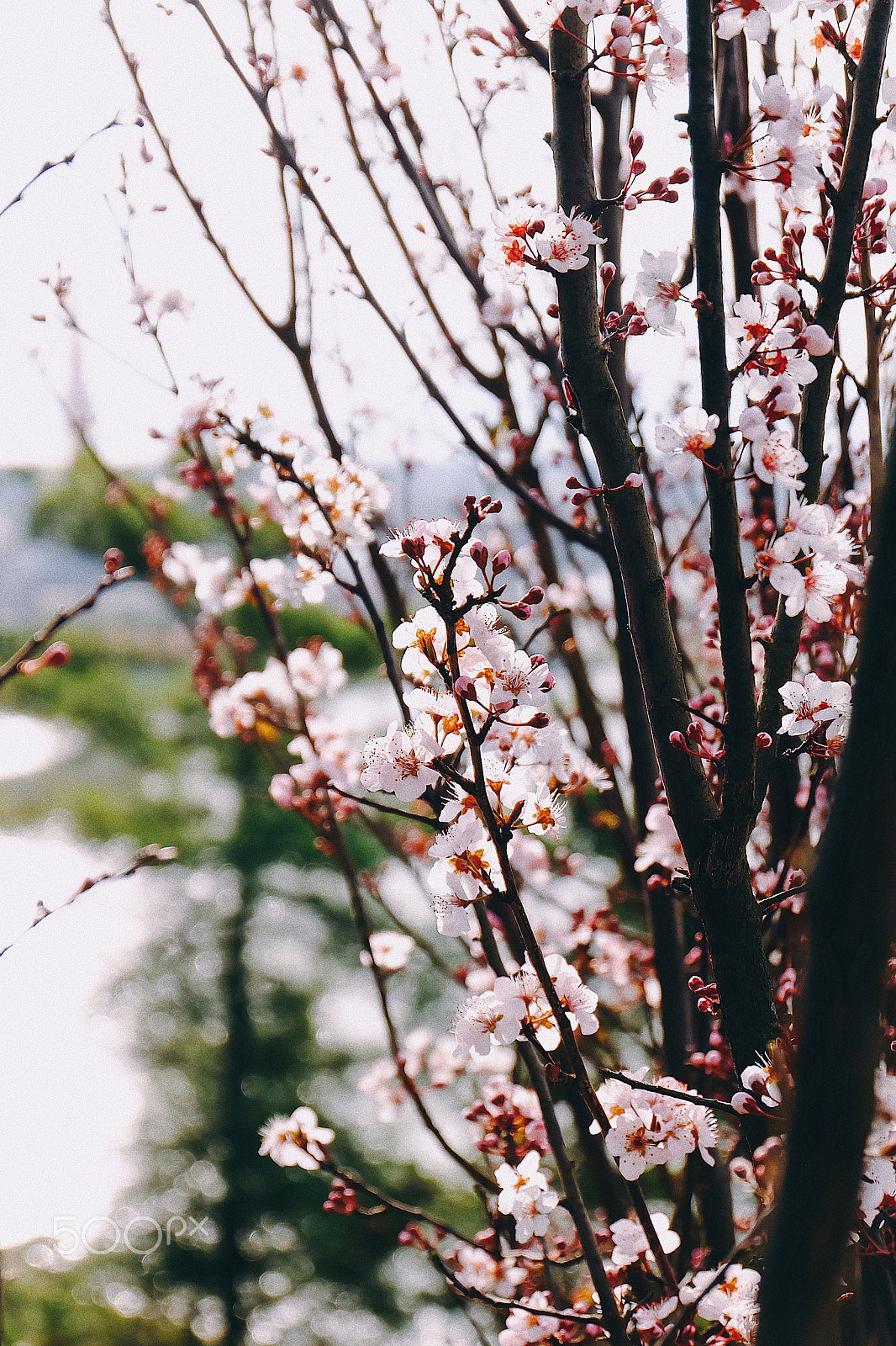 Fujifilm X-A1 sample photo. Processed with vsco with e6 preset photography