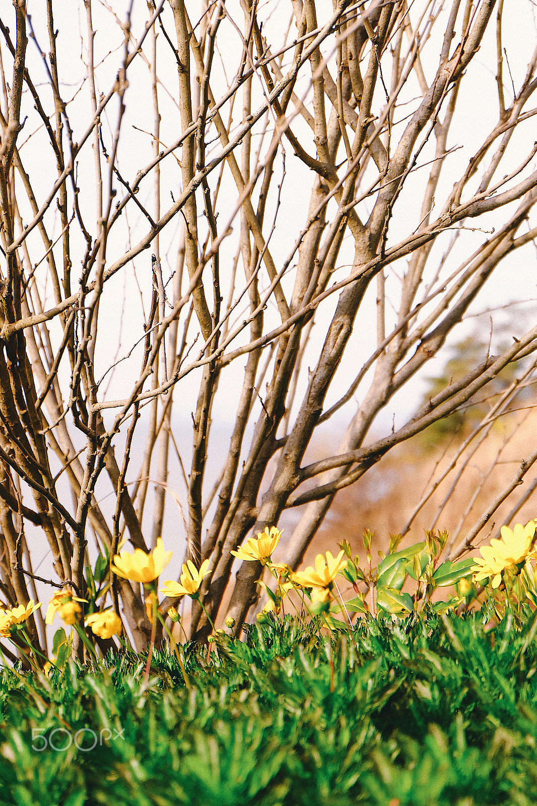 Fujifilm X-A1 sample photo. Processed with vsco with e5 preset photography