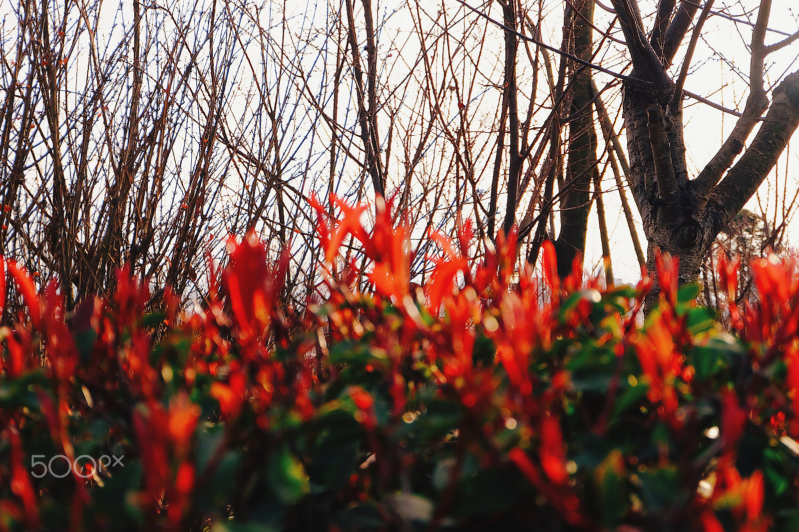 Fujifilm X-A1 sample photo. Processed with vsco with e2 preset photography