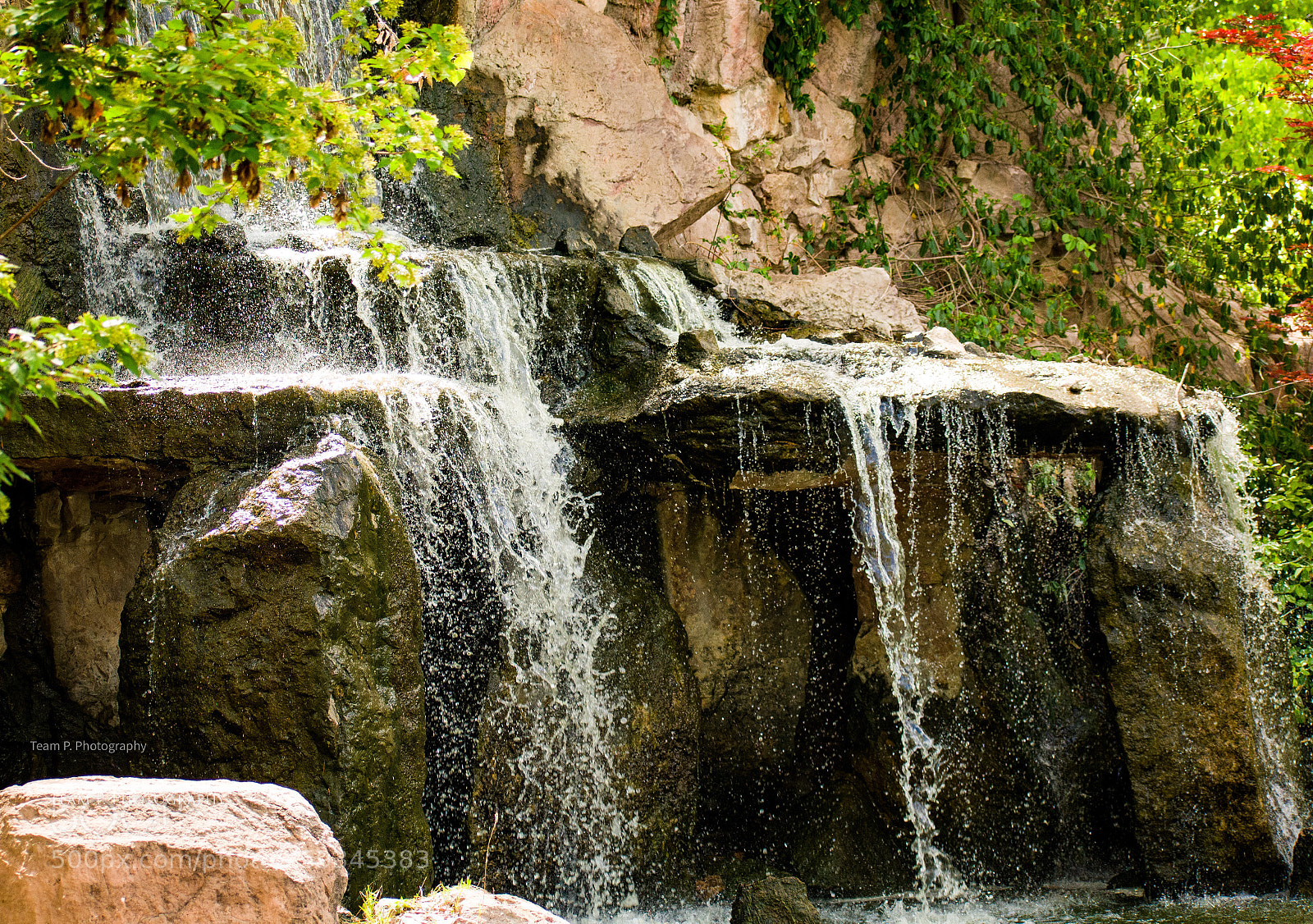 Nikon D3400 sample photo. Falling photography