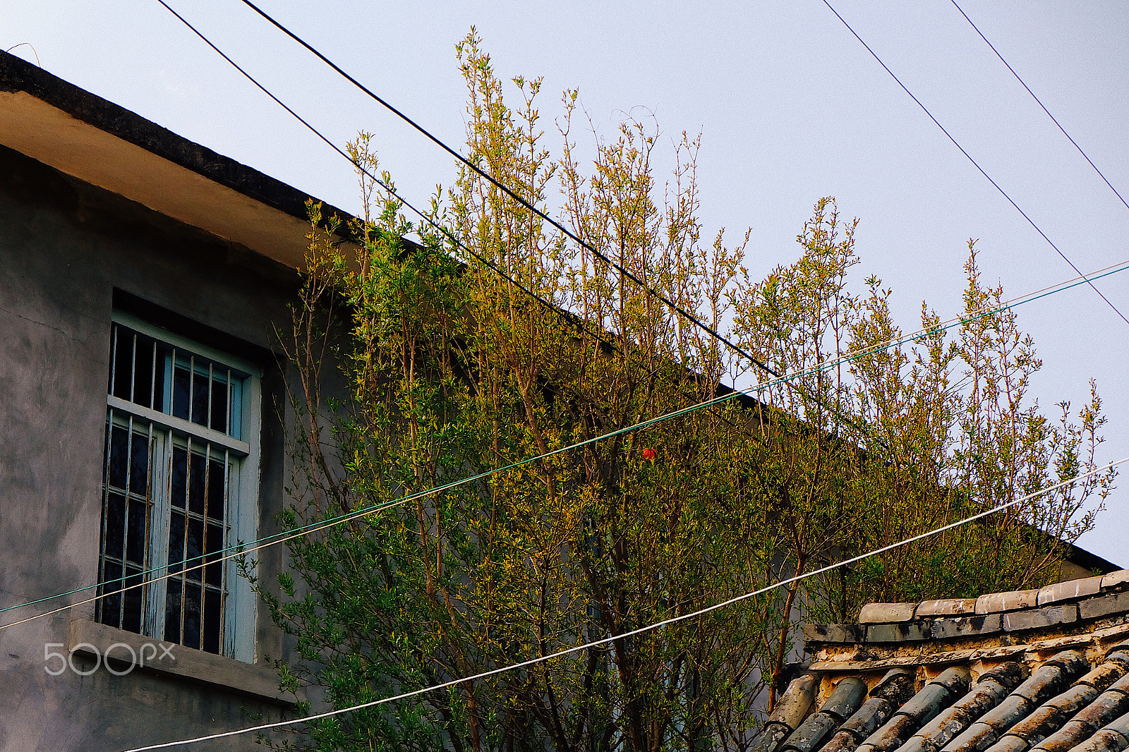 Fujifilm X-A1 sample photo. Processed with vsco with e2 preset photography