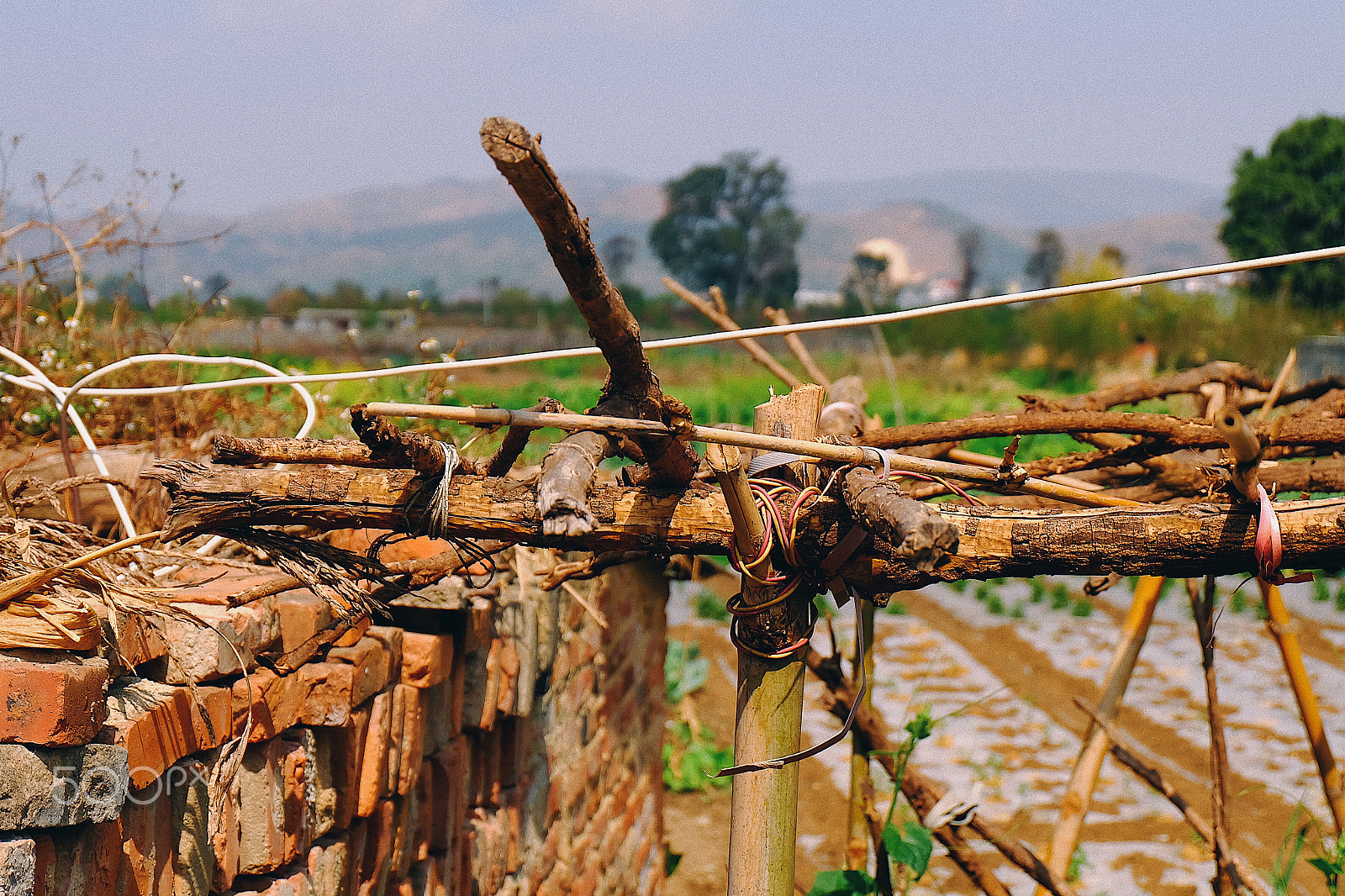Fujifilm X-A1 sample photo. Processed with vsco with e6 preset photography