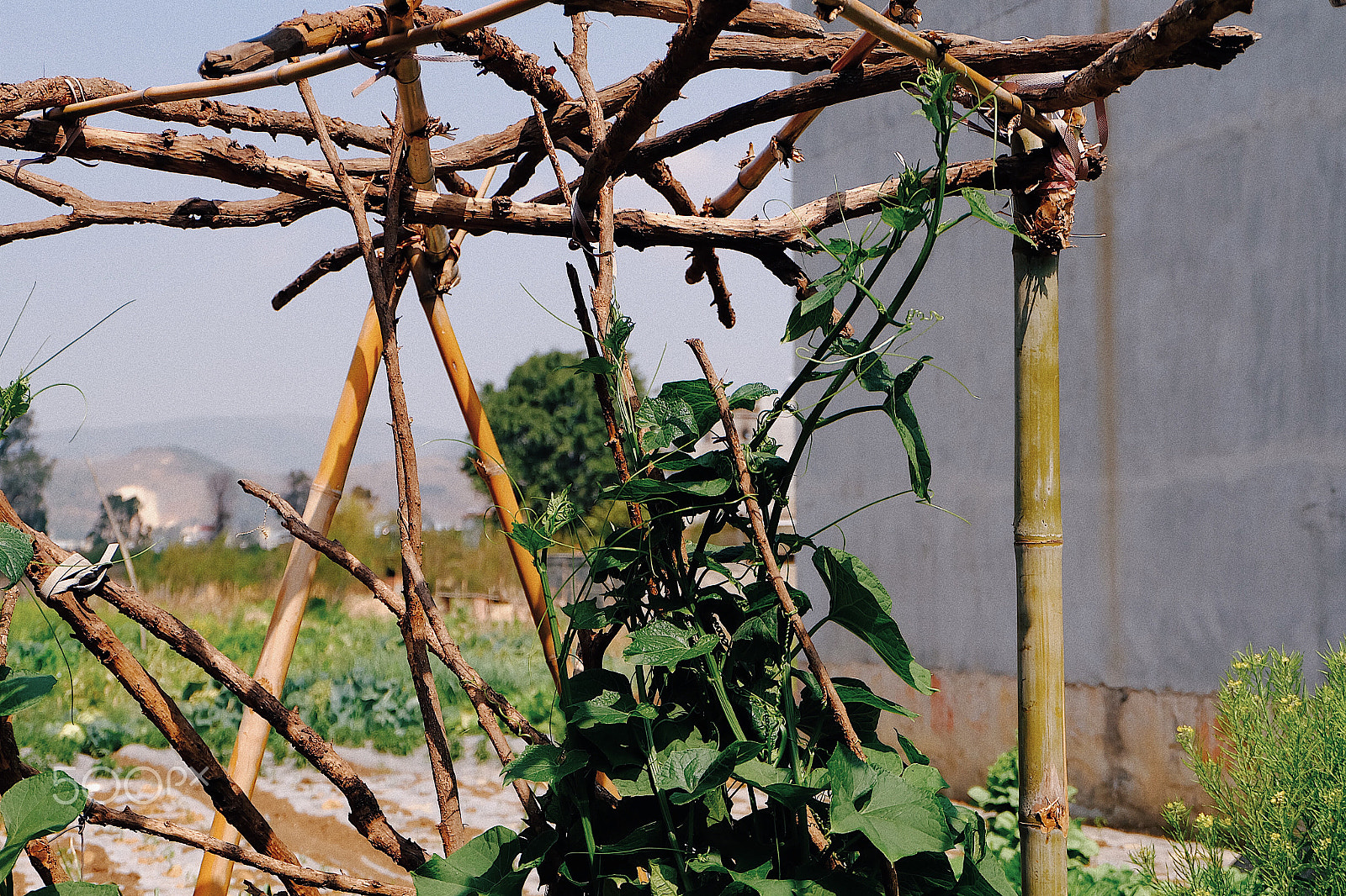 Fujifilm X-A1 sample photo. Processed with vsco with e3 preset photography