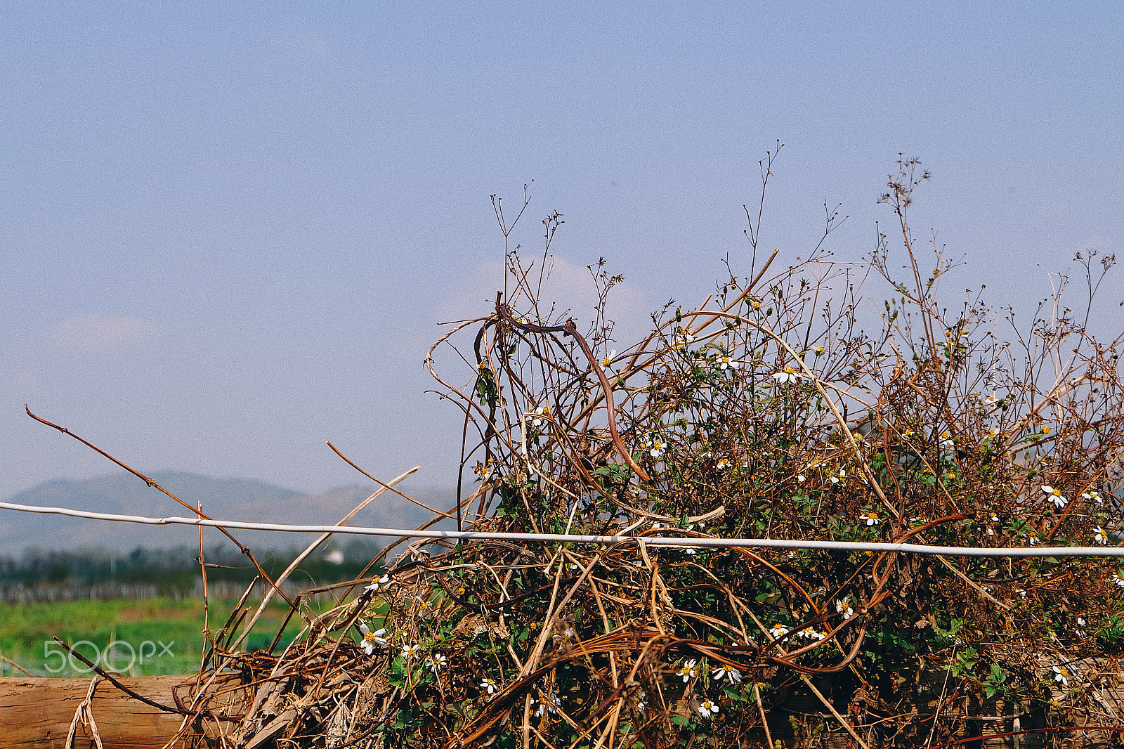 Fujifilm X-A1 sample photo. Processed with vsco with e6 preset photography