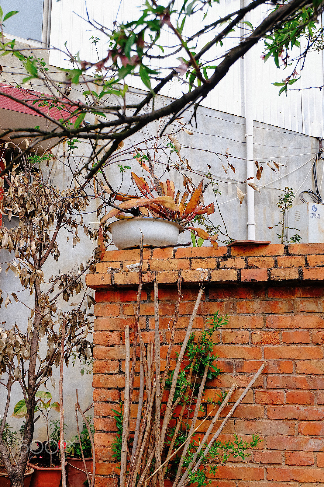 Fujifilm X-A1 sample photo. Processed with vsco with e1 preset photography