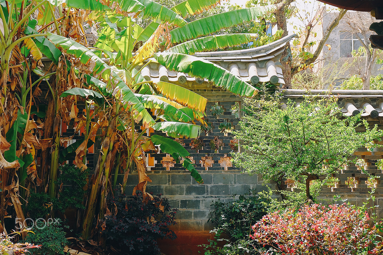 Fujifilm X-A1 sample photo. Processed with vsco with e6 preset photography