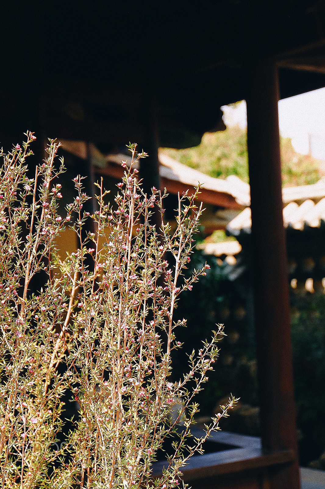 Fujifilm X-A1 sample photo. Processed with vsco with e6 preset photography