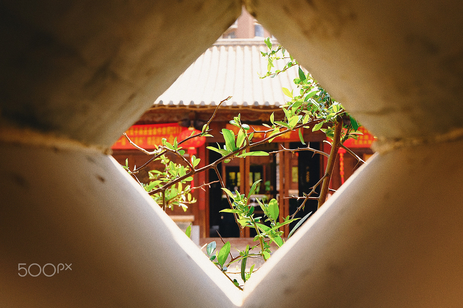 Fujifilm X-A1 sample photo. Processed with vsco with e5 preset photography