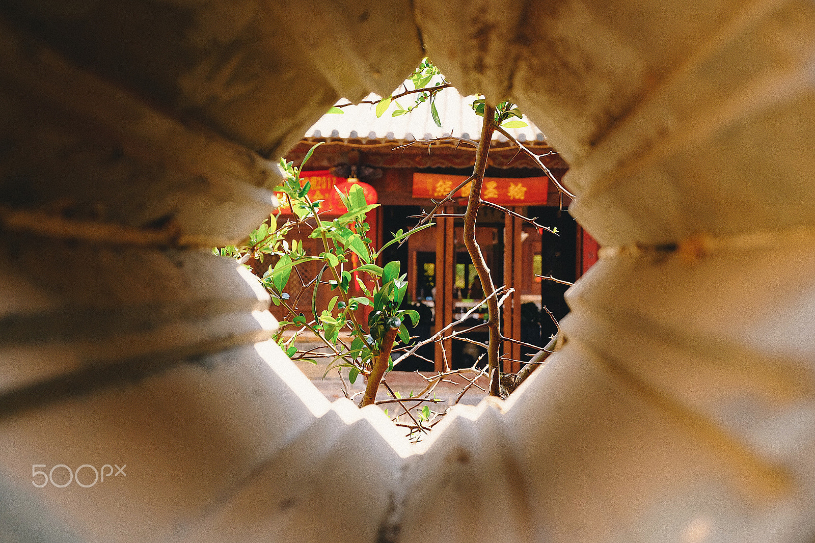 Fujifilm X-A1 sample photo. Processed with vsco with e5 preset photography