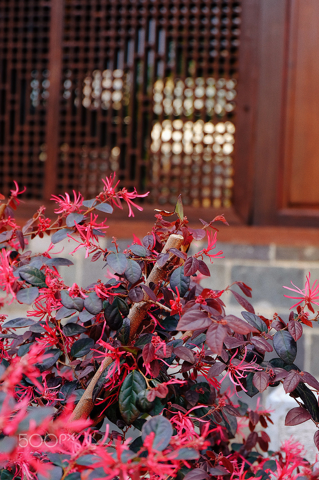 Fujifilm X-A1 sample photo. Processed with vsco with e1 preset photography