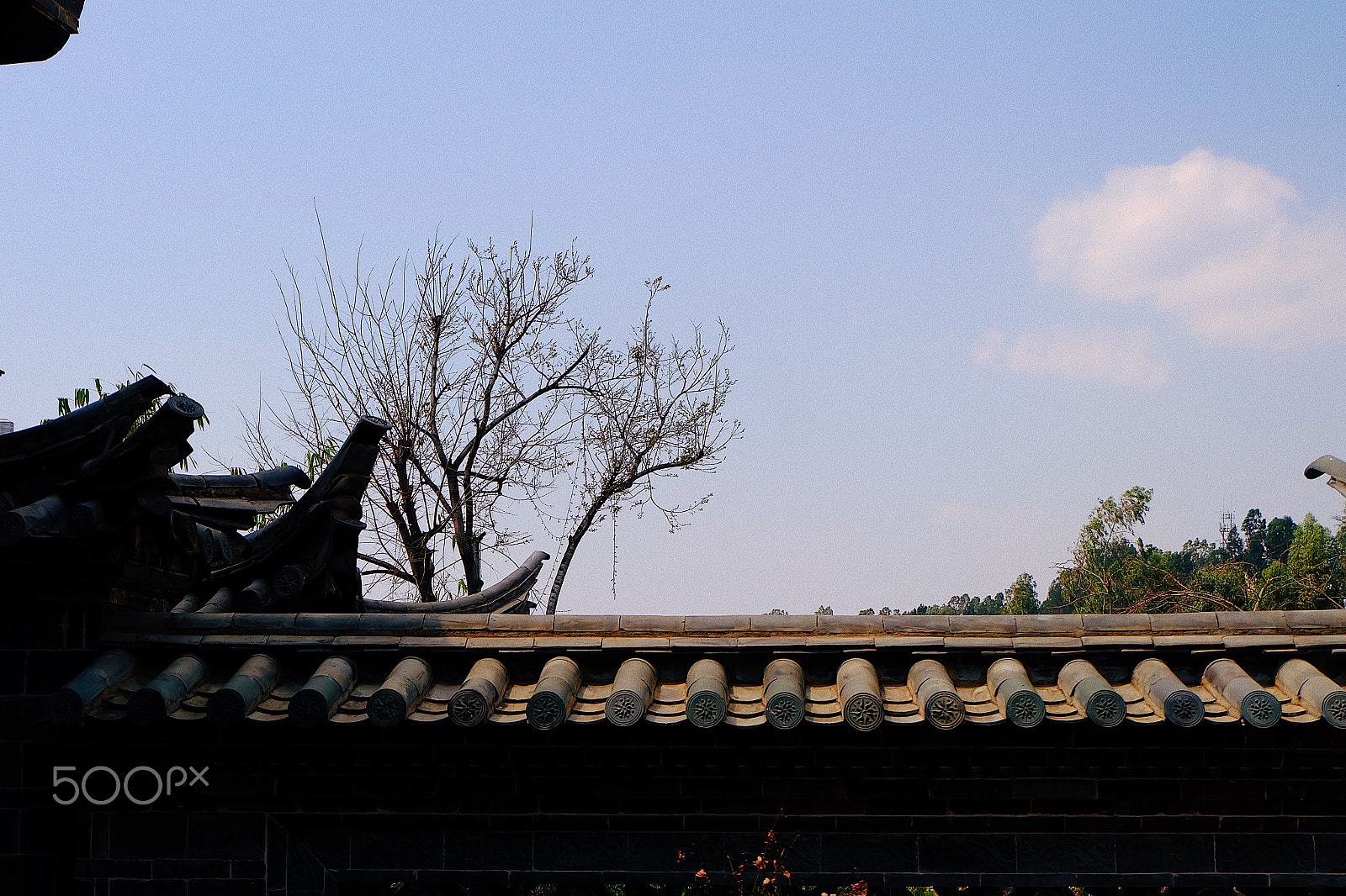 Fujifilm X-A1 sample photo. Processed with vsco with e1 preset photography