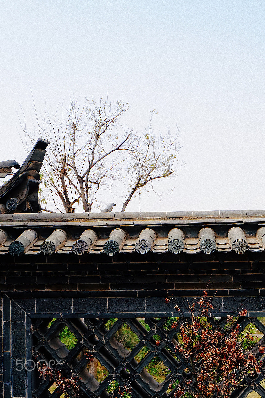 Fujifilm X-A1 sample photo. Processed with vsco with e1 preset photography