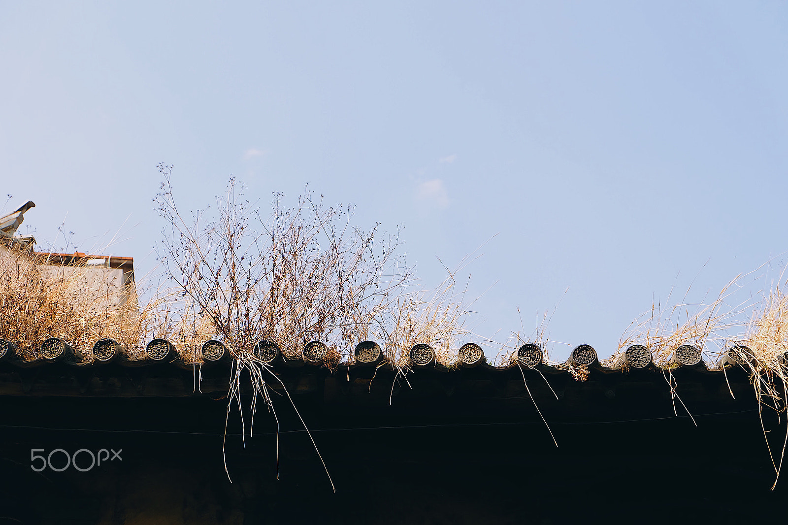 Fujifilm X-A1 sample photo. Processed with vsco with e6 preset photography