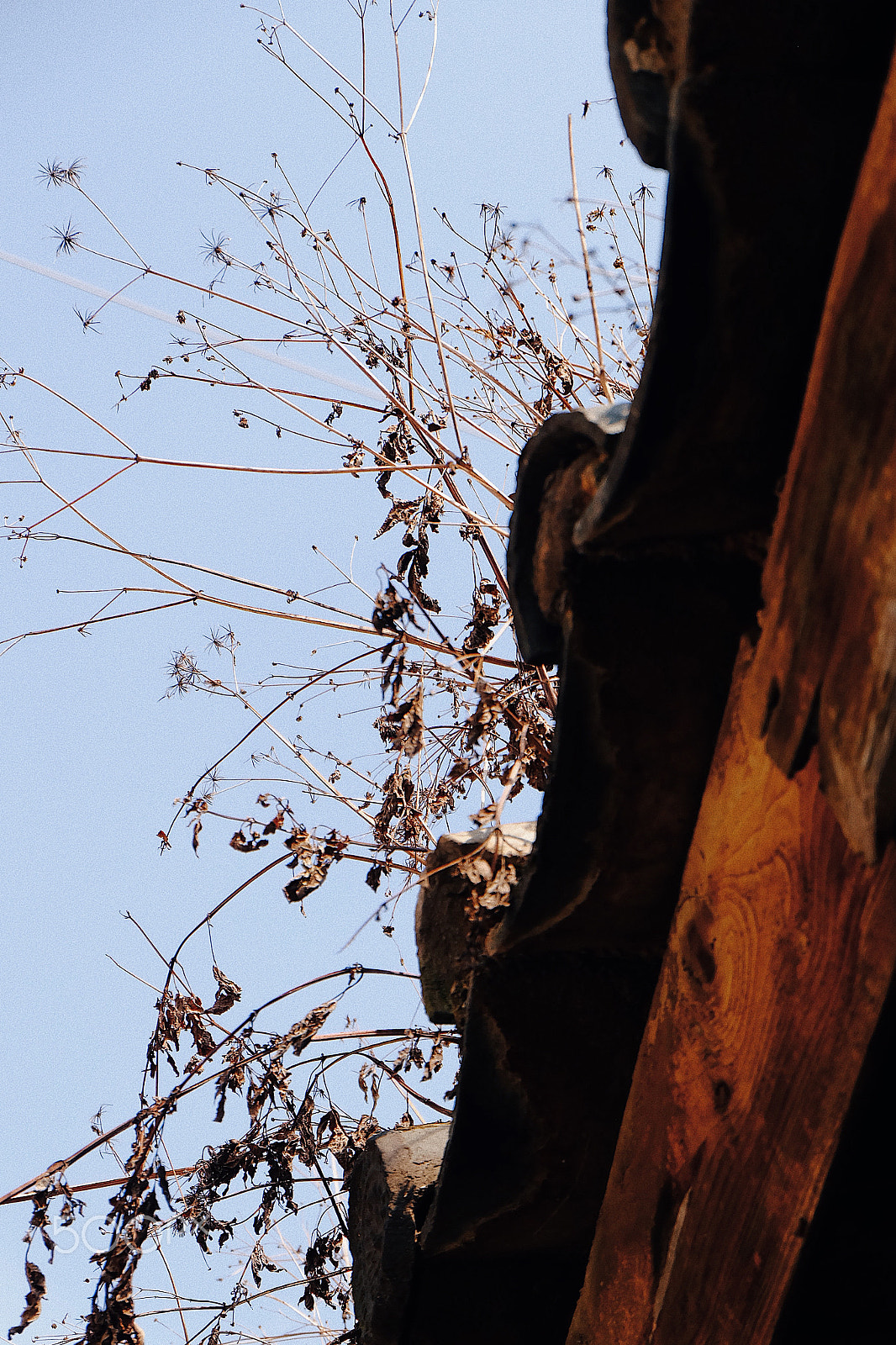 Fujifilm X-A1 sample photo. Processed with vsco with e3 preset photography
