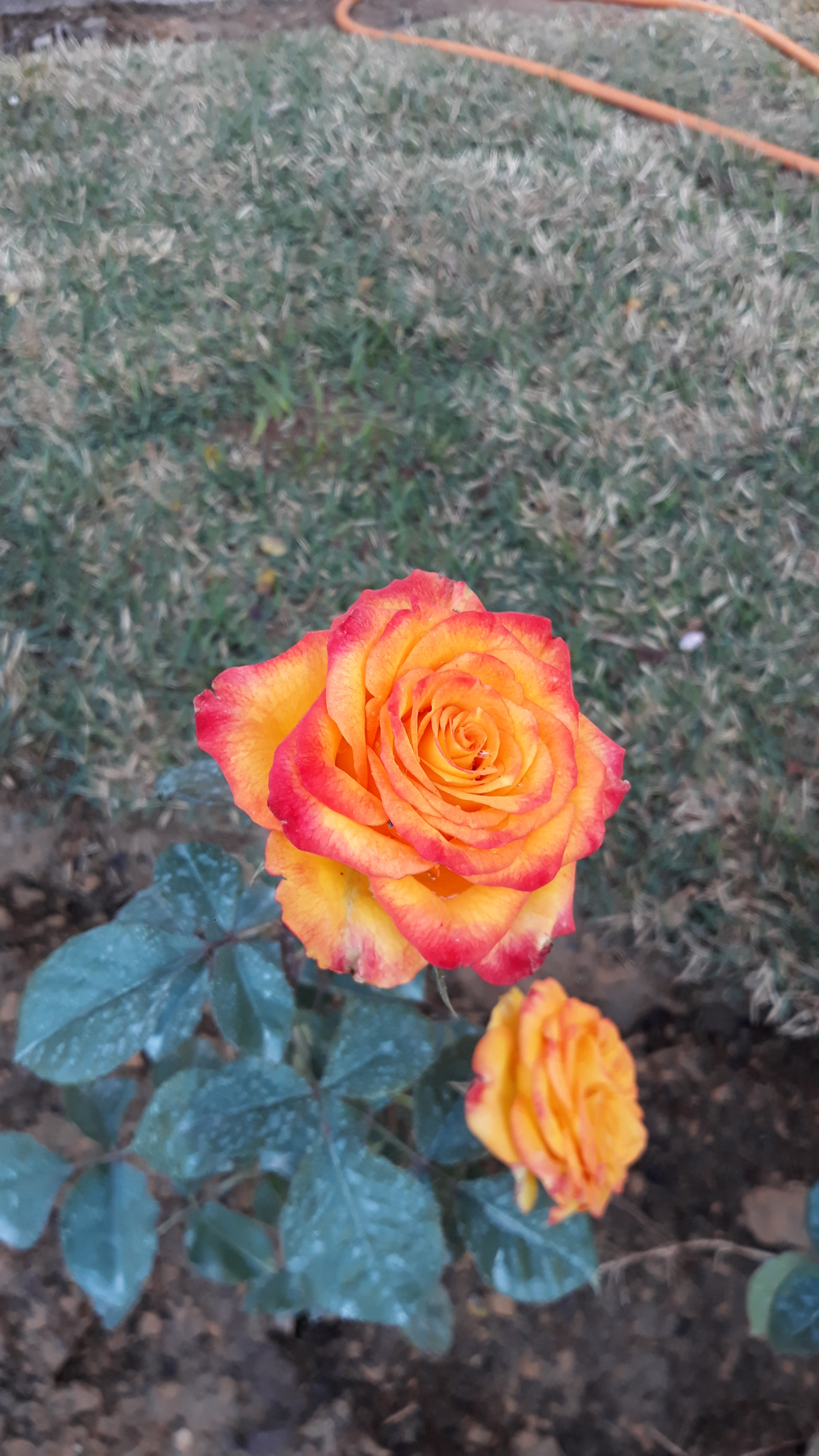 Samsung Galaxy J5 Pro sample photo