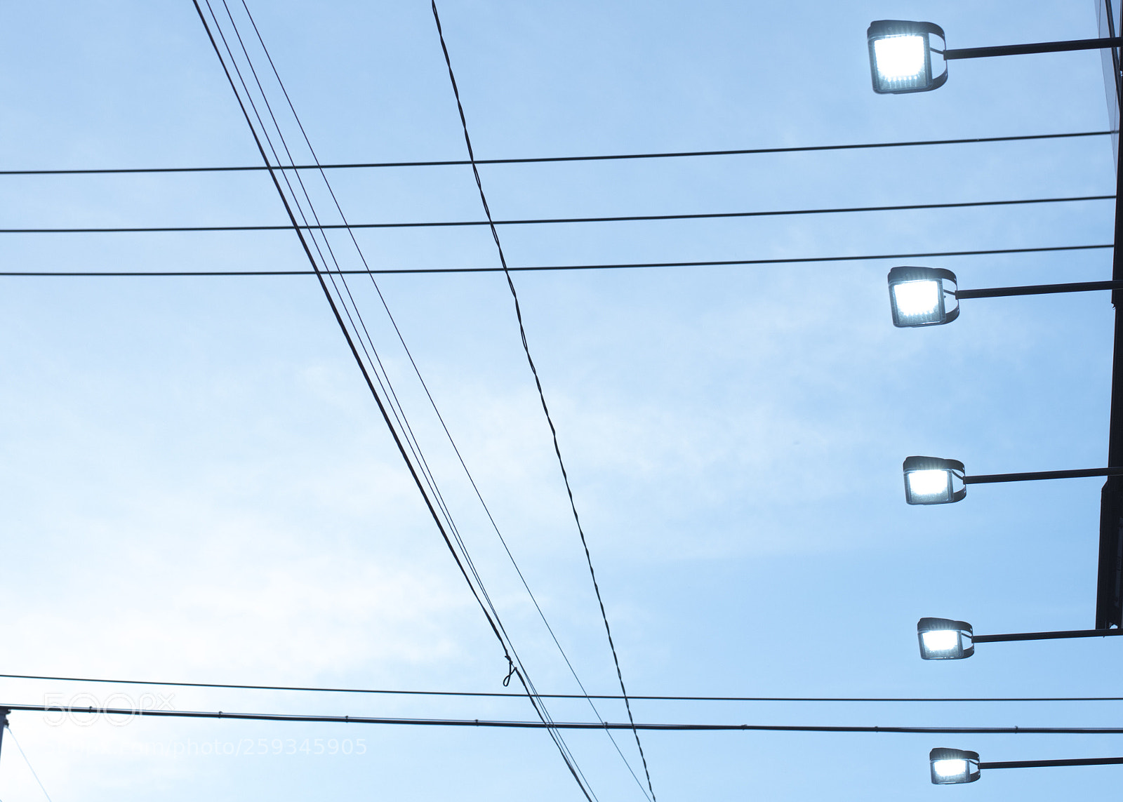 Nikon D810 sample photo. Lookup   no.8 photography