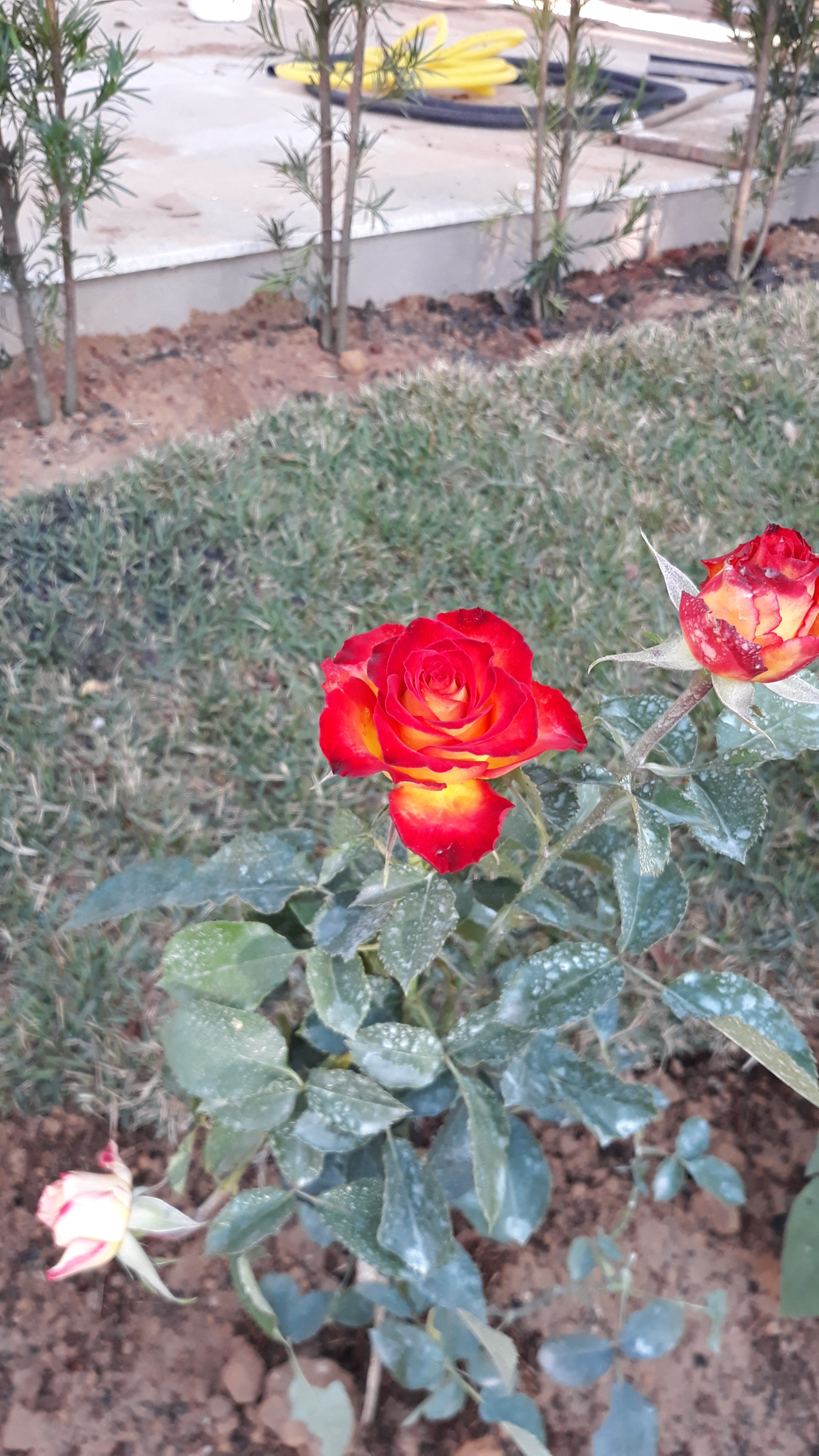 Samsung Galaxy J5 Pro sample photo