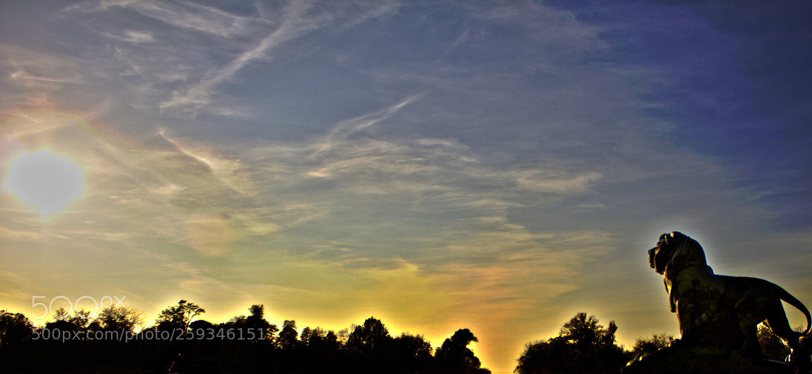 Canon EOS 550D (EOS Rebel T2i / EOS Kiss X4) sample photo. Momento simba o photography