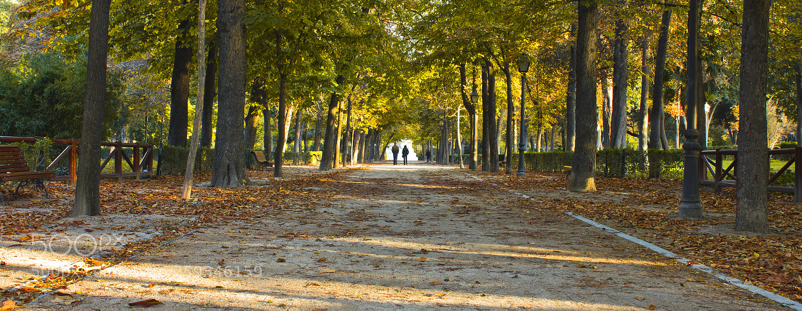 Canon EOS 550D (EOS Rebel T2i / EOS Kiss X4) sample photo. Perspectiva o photography