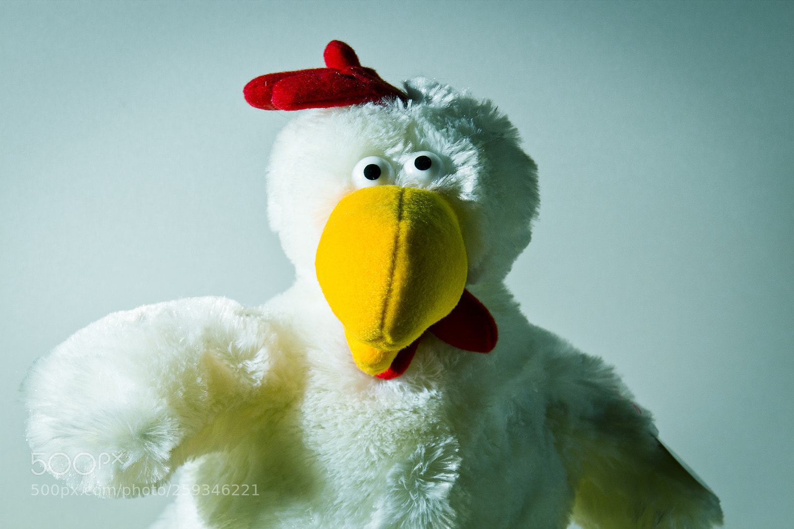 Canon EOS 600D (Rebel EOS T3i / EOS Kiss X5) sample photo. Pollo viene a por photography