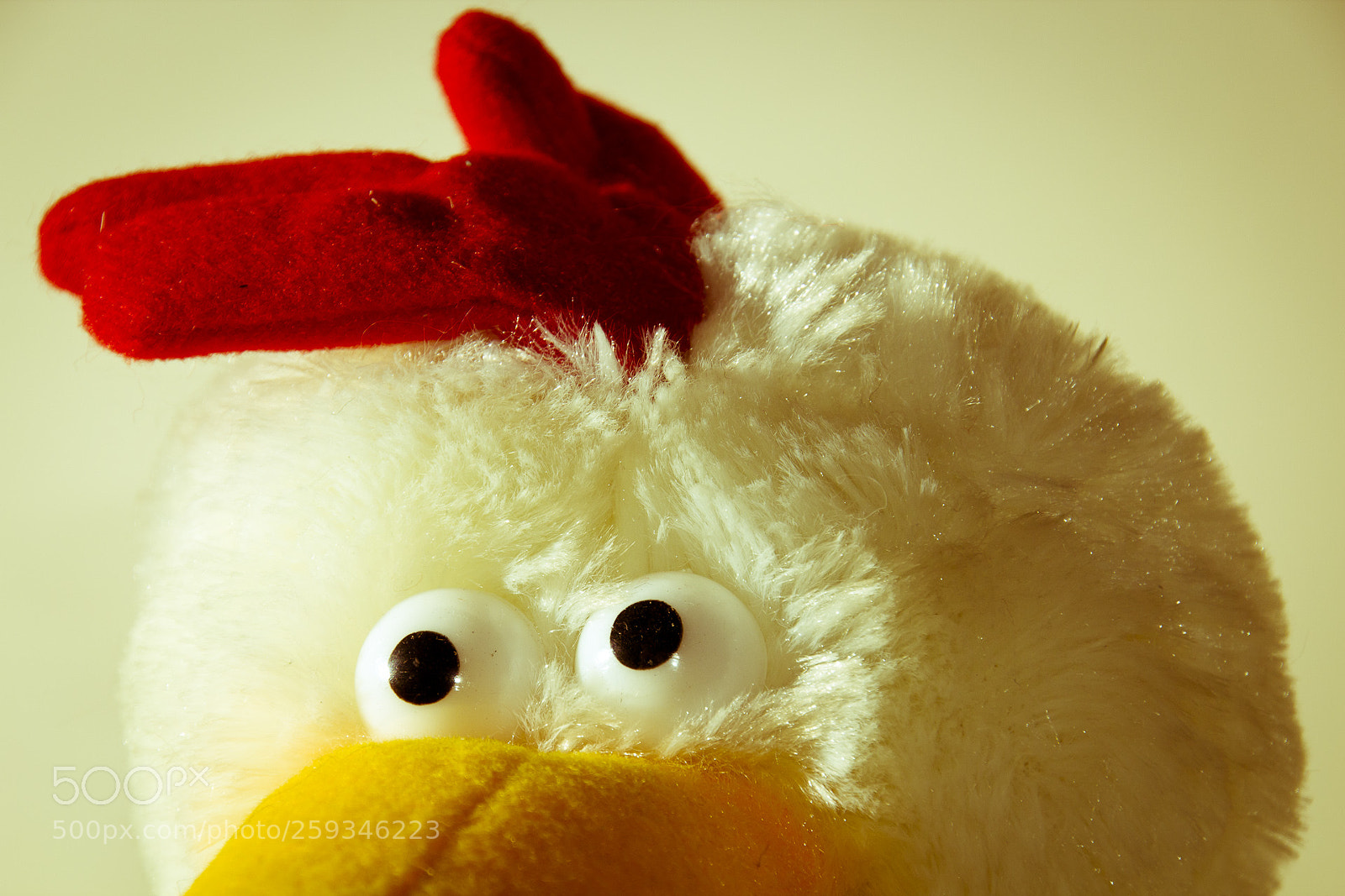 Canon EOS 600D (Rebel EOS T3i / EOS Kiss X5) sample photo. Pollo inquietante o photography